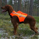 gps-huomioliivi-inari-kardog-az-82