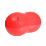 gymnic-physio-roll-balansboll-till-hund-rod-21