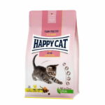 happy-cat-kitten-country-poultry-az-18