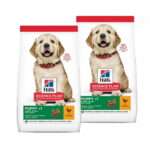 hills-science-plan-puppy-large-breed-chicken-2x145-kg-7e