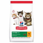 hills-sp-kitten-chicken-az-a5