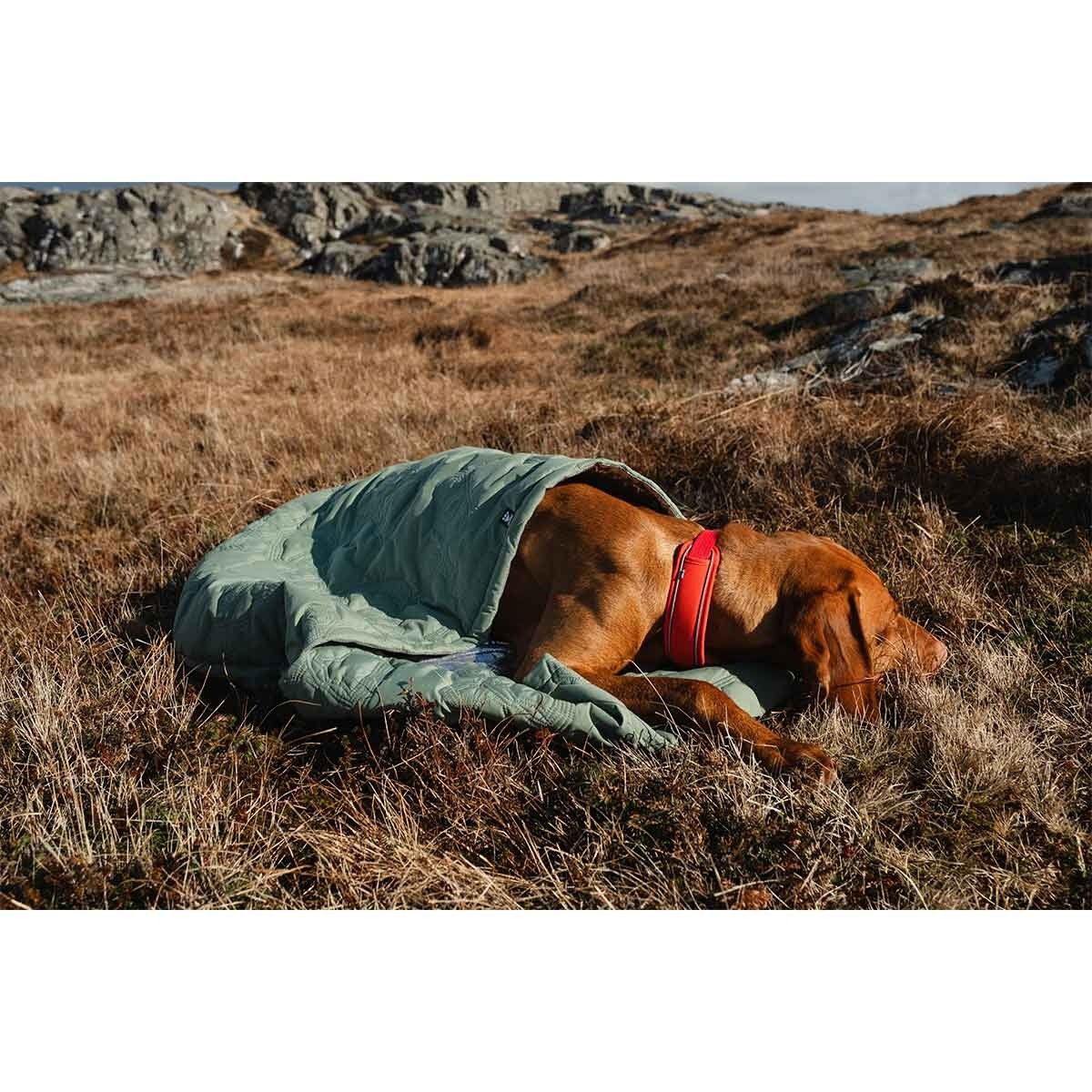 Hurtta Outback Dreamer koiran makuupussi ECO