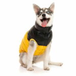 Koiran takki FuzzYard Harlem Puffer, keltainen koiran-takki-fuzzyard-harlem-puffer-keltainen-az-6f