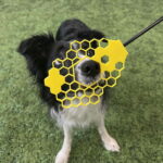 loype-target-nosewand-yellow-az-fa