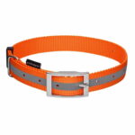 minifinder-koiran-panta-65-cm-x-25-cm-az-e8