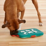 nina-ottosson-dog-casino-turkos-5b
