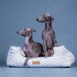 Reunallinen peti PAIKKA Treasure paikka-treasure-bed-blue-27