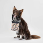 PAIKKA Heijastava herkkutasku, leo paikka-visibility-treat-pouch-leo-az-dc