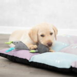 Pehmolelu Trixie Junior Nalle Crincle pehmolelu-trixie-junior-nalle-crincle-az-1b