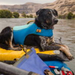 pelastusliivi-ruffwear-float-coat-sininen-az-39