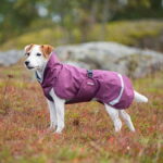 PerusPomppa valjasaukolla, luumu peruspomppa-for-harness-plum-41