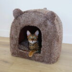 pesapeti-rosewood-teddy-az-55