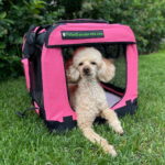 peteasy-kevythakki-pink-az-3b