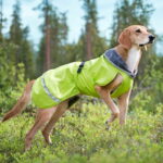 KevytPomppa koiran mantteli, lime pomppa-kevyt-regnjacka-hund-gron-a3