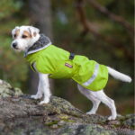 pomppa-perus-vintertacke-hund-gron-54