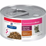 prescription-diet-gastrointestinal-biome-katt-med-kycklinggronsaker-b9
