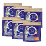 purina-one-cat-adult-chicken-6x15-kg-bc