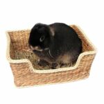 rosewood-chillnsnooze-baumldd-stor-62