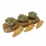 rosewood-veggie-burst-salad-patch-az-fe