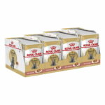 royal-canin-british-shorthair-85g-48-pack-bf