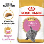 Royal Canin British Shorthair Kitten, 2 kg royal-canin-british-shorthair-kitten-b3