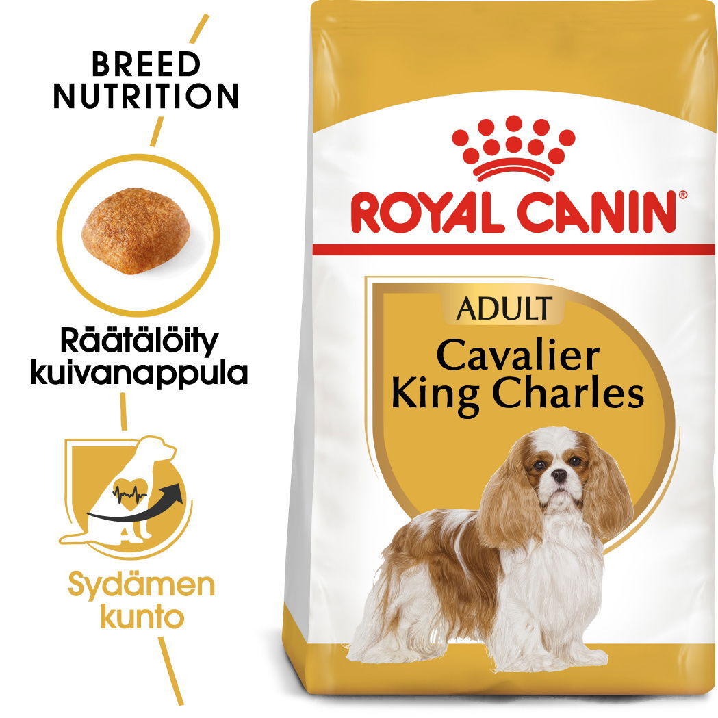 Royal Canin Cavalier Adult