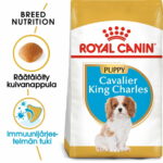 Royal Canin Cavalier Puppy 1,5 kg royal-canin-cavalier-king-charles-spaniel-junior-d6