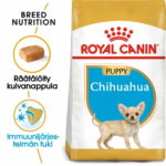 royal-canin-chihuahua-junior-56