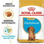 royal-canin-dachshund-junior-15kg-9d