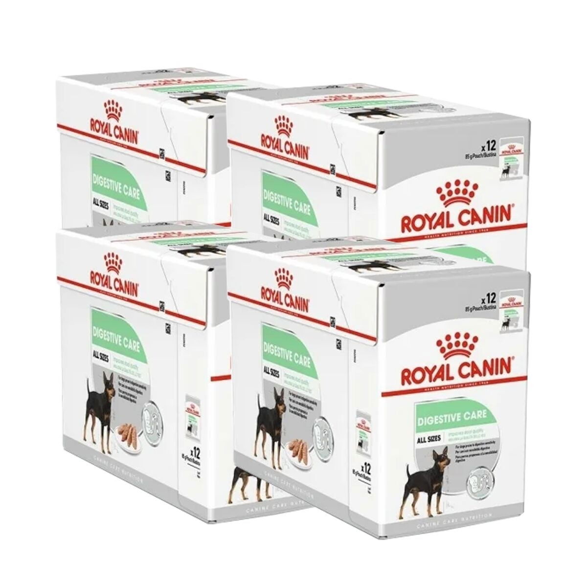 Royal Canin Digestive Care wet 48×85 g