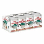 Royal Canin Instinctive 7+ Gravy 85g, 48-pack royal-canin-instinctive-7-gravy-85g-48-pack-8b