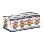 Royal Canin Hair & Skin Care Jelly 85g, 48-pack royal-canin-intense-beauty-jelly-85g-48-pack-31