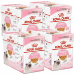 royal-canin-kitten-jelly-85g-48-pack-31