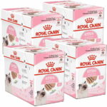 royal-canin-kitten-loaf-85g-48-pack-8d