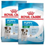royal-canin-mini-puppy-2-x-8kg-db