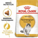 royal-canin-norwegian-90