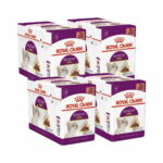 Royal Canin Sensory Smell Gravy 85g, 48-pack royal-canin-sensory-smell-gravy-85g-48-pack-75
