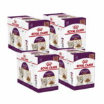 royal-canin-sensory-taste-gravy-85g-48-pack-6c