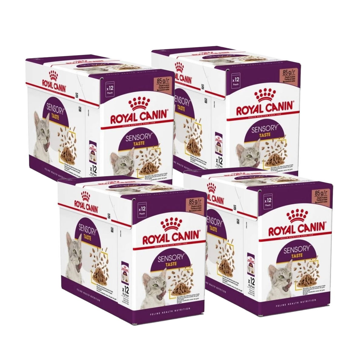 Royal Canin Sensory Taste Gravy 85g, 48-pack