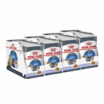 royal-canin-ultra-light-jelly-85g-48-pack-36
