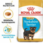royal-canin-yorkshire-terrier-junior-46