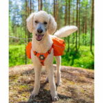 Ruffwear Approach Pack reppu koiralle, oranssi ruffwear-approach-pack-reppu-koiralle-oranssi-az-94