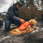 Ruffwear Pelastusliivi Confluence, Tangelo Orange ruffwear-confluence-koiran-pelastusliivi-tangelo-orange-az-ea