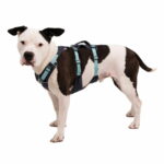 Ruffwear Flagline valjaat, harmaa ruffwear-flagline-valjaat-harmaa-az-92