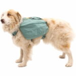 Koiranreppu Ruffwear Front Range, River Rock Green ruffwear-front-range-day-pack-river-rock-green-az-41