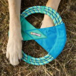 Ruffwear Pacific Ring koiranlelu, turkoosi ruffwear-pacific-ring-toy-turkoosi-az-a5