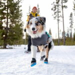 ruffwear-polar-trex-tossut-2kpl-musta-az_1-77