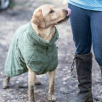 rukka-medea-eco-badrock-till-hund-gron-e8