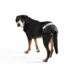 savic-comfort-nappy-koiran-vaipat-az-17