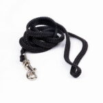 show-dog-show-lead-med-silverfargat-las-svart_60400-8b